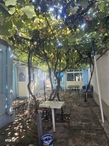 Casa de vanzare, strada Mihai Bravu, Intre Apolo si Carpati.