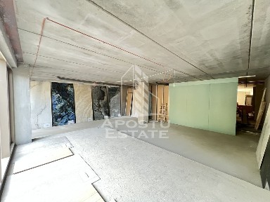 Cetate, Timisoara, Timis