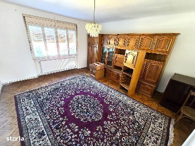 Subcentral, Satu Mare