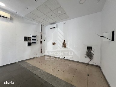 Cetate, Timisoara, Timis