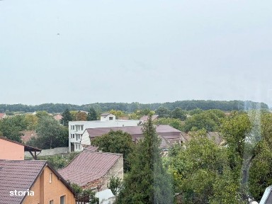 Dorobantilor, Timisoara, Timis