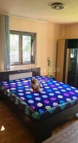 Urgent la preţ bun! Casă şi grădină la Lipia, comuna Merei