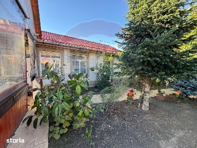 Strada Mihai Eminescu, Bailesti, Dolj