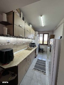 Strada Teilor, Solidaritatii, Satu Mare