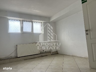 Calea Sagului Parc Industrial, Timisoara, Timis