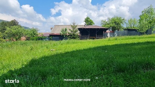 Strada Muntii Bucegi, Bran, Brasov