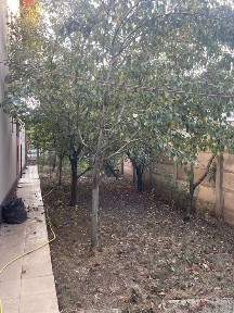 Prelungirea Ghencea Margelelor Ap.2 Camere Contract Anaf