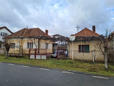 Vand casa cu gradina la tara