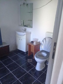 Vând casă în Com.Curtisoara, sat Linia din vale