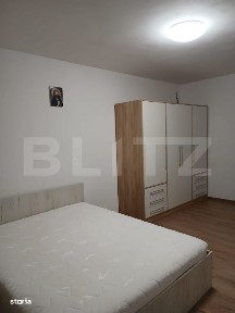 Alexandru Cel Bun, Iasi