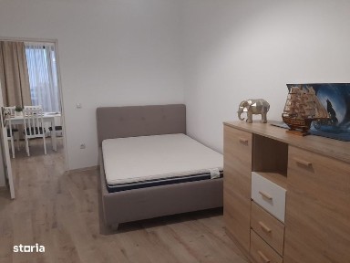 Centru Nou, Satu Mare