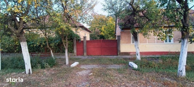 Sannicolau Mic, Arad