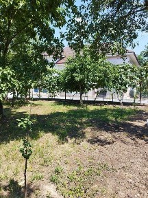 Vând casă D+P, Finteușu-Mare