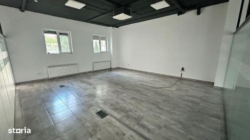 Dorobantilor, Timisoara, Timis