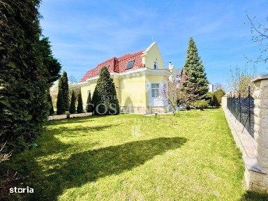 Andrei Muresanu, Cluj-Napoca, Cluj