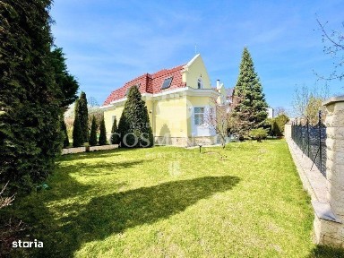 Andrei Muresanu, Cluj-Napoca, Cluj