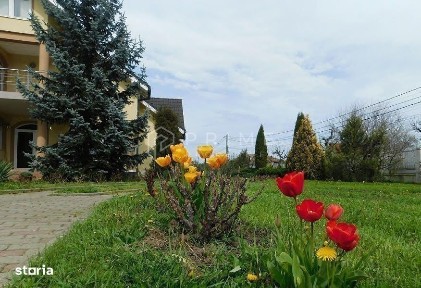 Sangeorgiu De Mures, Mures