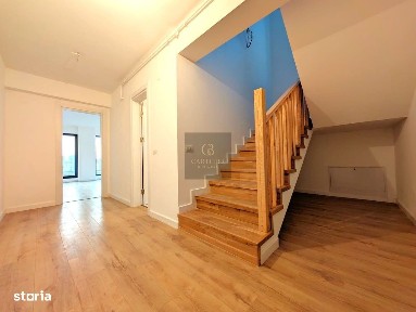 Theodor Pallady, Sectorul 3, Bucuresti