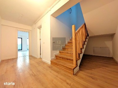 Theodor Pallady, Sectorul 3, Bucuresti