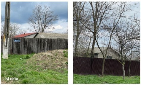 Casa si teren Bordei Verde, Jud. Braila 3005384