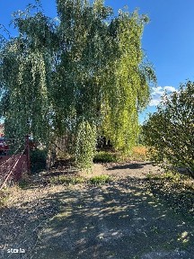 De vanzare casa P+M din caramida, 4 camere, teren de 1100mp, 75000euro