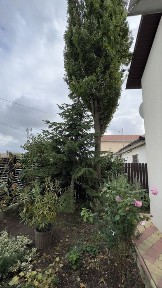 Casa in Cumpăna - Preț redus recent - disponibilă imediat!