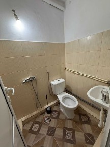 Bucuresti, Sectorul 6, crinul de padure 5