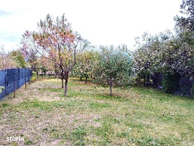 Strada Zorilor, Varasti, Giurgiu