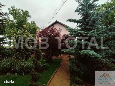 Central, Pitesti, Arges