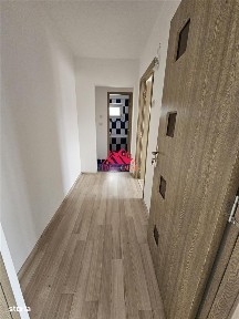 Strada Pictor Theodor Aman, Bistrita-Lac, Bacau