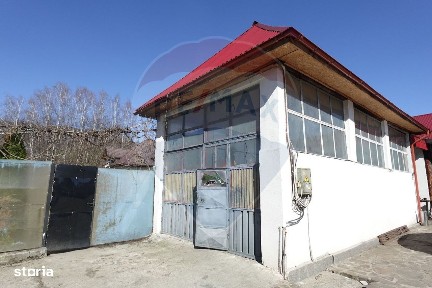 Strada Mesteacanului, Baia Sprie, Maramures