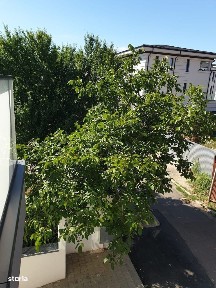 3 Camere / 1 Min British School / Mobilat Utilat