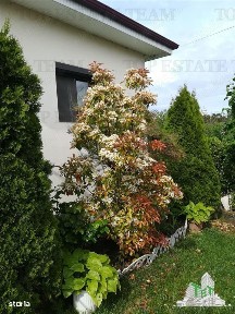 Casa individuala cu 4 camere in Corbu Constanta liniste natura mare si