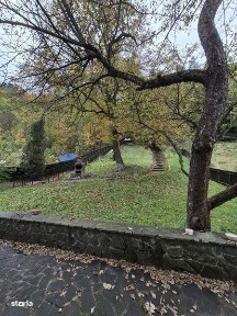 Vila de inchiriat Sinaia - Disponibilitate Revelion