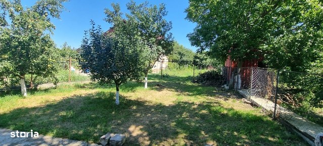 Tudor Vladimirescu, Botosani