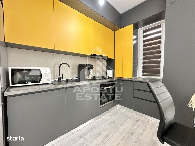 Zona Timisoara Sud, Timisoara, Timis