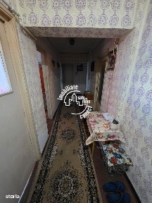 Carpati I, Satu Mare