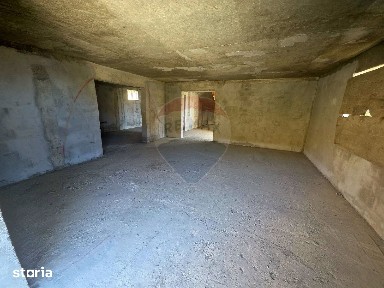 Viisoara, Alexandru Cel Bun, Neamt
