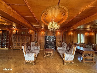 Vila deosebita de vanzare - teren 23.031 mp - Breaza