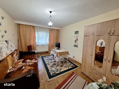 Strada Pictor Theodor Aman, Bistrita-Lac, Bacau