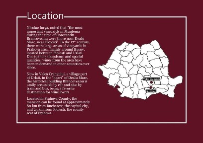 Conac Brâncovenesc și 22 ha viță de vie