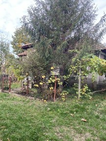 Casa la 20 km de Tr Severin. Toate utilitatile. Mai putin gaz.