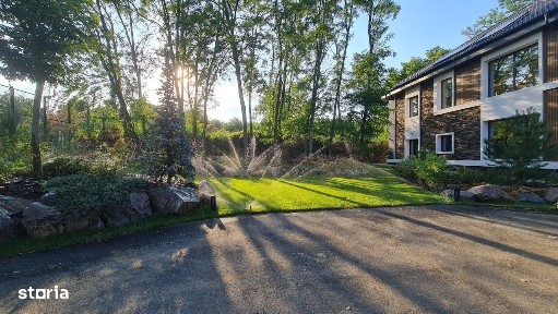 Proprietate 7000 mp cu 2 case + anexe, 160m deschidere la Lacul Snagov