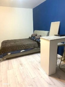 Apartament 1 camera, decomandat, etaj intermediar, mobilat, Alexandru
