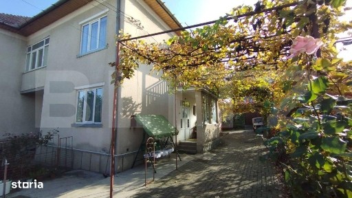 Andrei Muresanu, Cluj-Napoca, Cluj