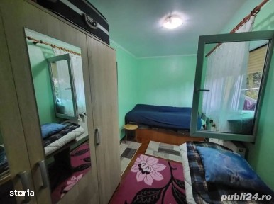 Solidaritatii, Satu Mare