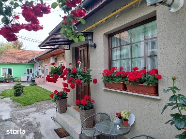 Refugiu urban cu personalitate - Casa cu mansarda si crama amenajata -