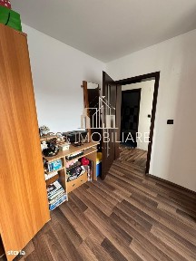 Sanmihaiu Roman, Timis