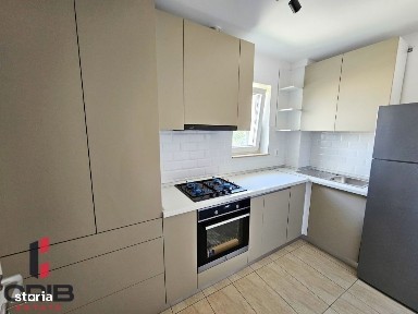 Stefanestii De Jos, Ilfov