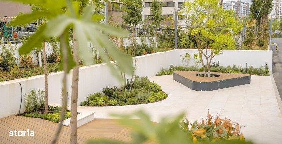 Strada Victor Brauner, Theodor Pallady, Sectorul 3, Bucuresti